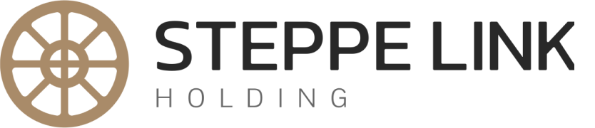Steppe Link Holding